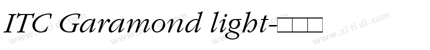 ITC Garamond light字体转换